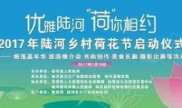 陆河新闻爆料最新情况,重大事件进展及影响揭秘
