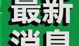 新闻爆料热点爆料案例,案例背后的真相与启示