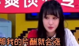 娱乐圈演员被爆料了吗百度云,揭秘娱乐圈背后的秘密