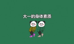 爆料沙雕动画视频下载