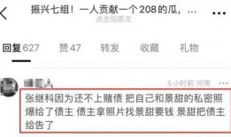资深记者爆料张继科视频,资深记者独家爆料，真相究竟如何？