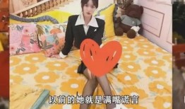 流萤爆料全过程视频在线观看,揭秘事件真相与幕后黑幕