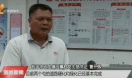 桂平最新爆料新闻报道,揭秘惊人内幕，真相令人震惊！