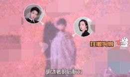 卿卿最新爆料是哪一集,剧情高潮迭起，哪一集成为焦点？