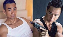 甄子丹采访中的爆料视频,幕后故事与人生感悟