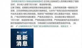 新闻调查当事人爆料违法吗,新闻调查涉嫌违法，真相究竟如何？