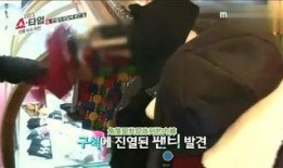 艺兴最新爆料消息视频播放,精彩瞬间抢先看