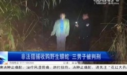 梧州爆料事件最新,揭秘背后真相与网络舆论风暴