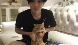 鹿晗豪宅爆料视频大全集