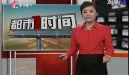 丰顺都市爆料新闻视频,最新视频揭秘事件真相