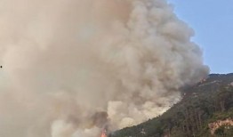 爆料常德山火视频最新