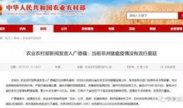 农村有新闻爆料找谁,揭秘乡村热点事件背后的真相