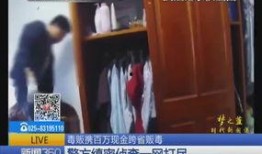 二八大案最新爆料视频播放,揭秘视频曝光惊人内幕