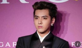 女子爆料何家劲视频,真相与争议