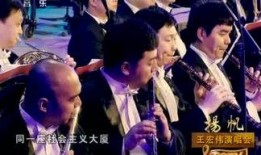皇家小虎爆料视频,揭秘视频背后的精彩瞬间