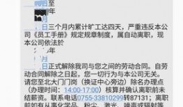 富士康厂牌爆料视频,揭秘科技巨头背后的真实生产现状