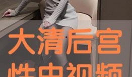 大清性史手机在线观看,揭秘古代宫廷秘闻，手机在线观看全纪录