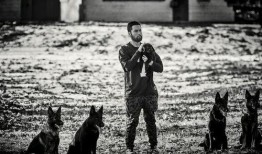 大胡子爆料最新视频,精彩瞬间不容错过！