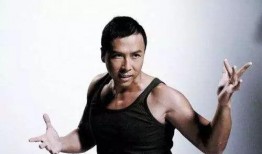 甄子丹采访中的爆料视频,幕后故事与人生感悟