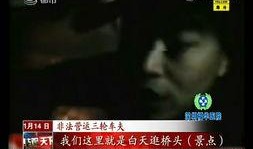 苏州游客爆料事件视频播放,视频揭露惊人一幕