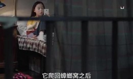 姐姐爆料的视频,姐姐爆料视频背后的惊人真相