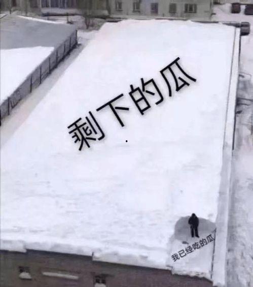 一起来吃瓜正版,揭秘娱乐圈那些不为人知的幕后故事