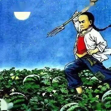 我在娱乐圈吃瓜当猹橙光