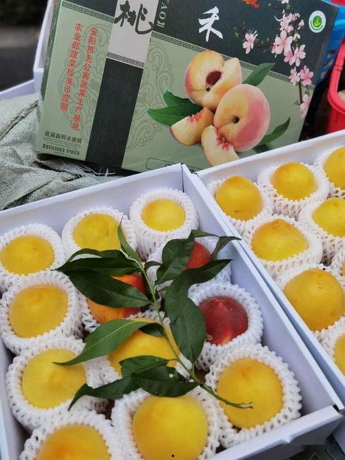 吃瓜娱乐封面怎么做的,吃瓜娱乐封面制作背后的秘密与技巧